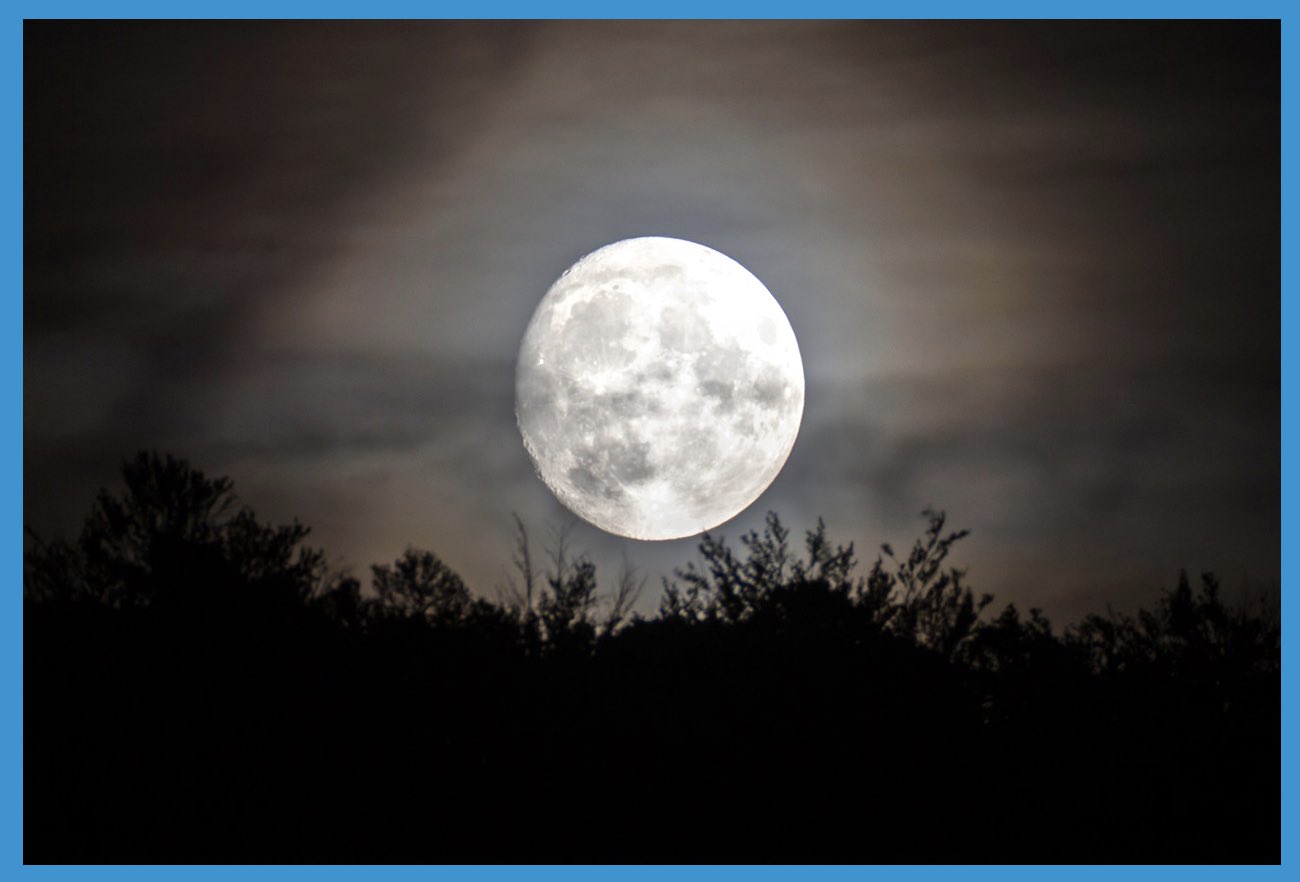 Bad Moon Rising (Keyboard-Style)