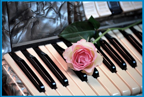 Ich hör so gern Harmonika (Keyboard-Style)