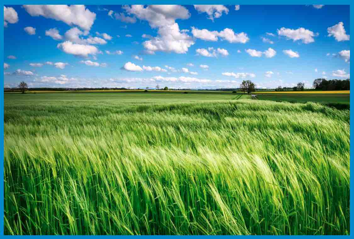 Sommerwind (MIDI-File)